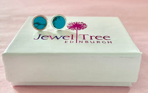 Turquoise Stud Earrings