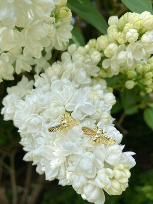 Bee stud earrings🐝