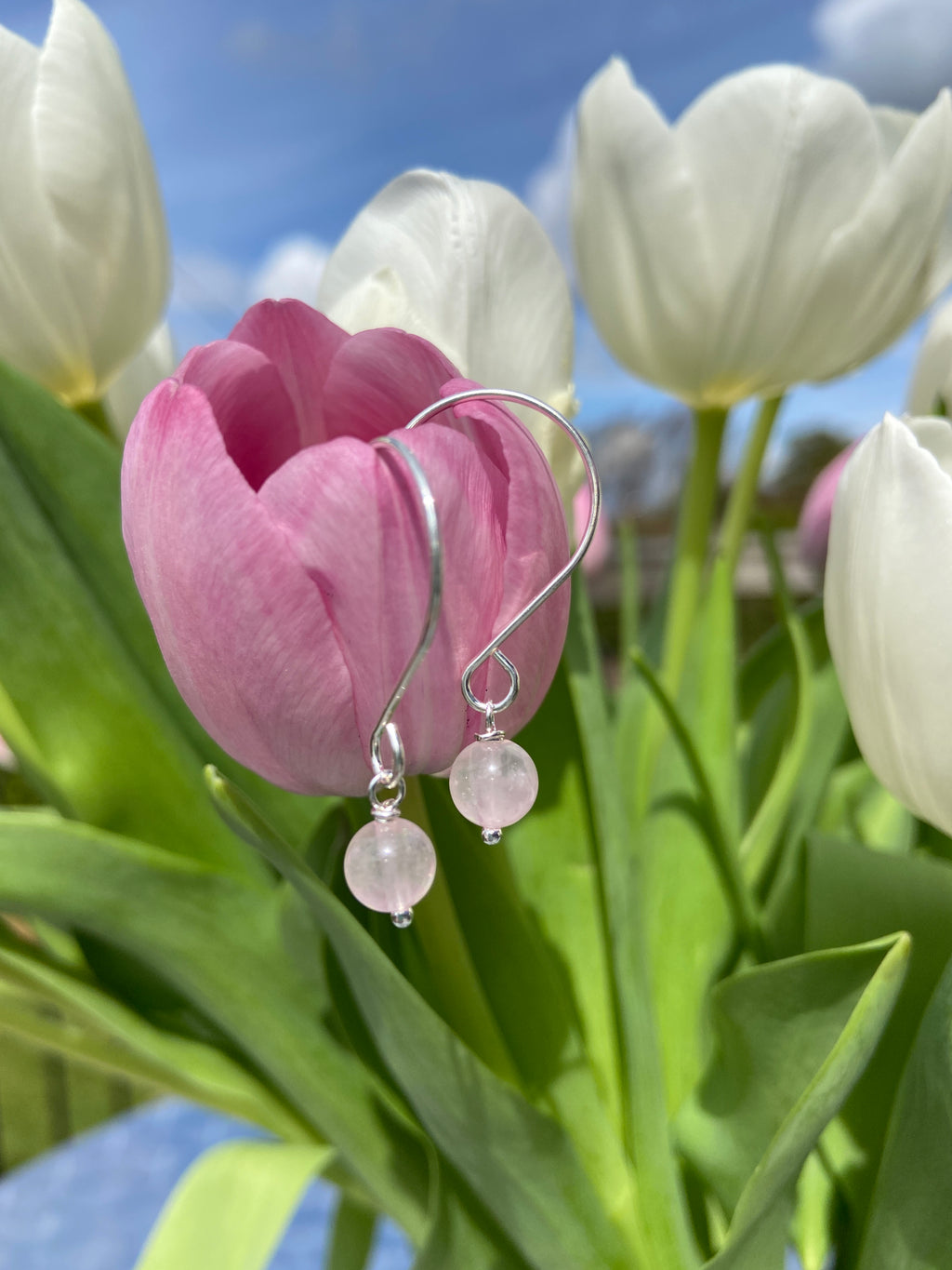 rose quartz earrings on C wires