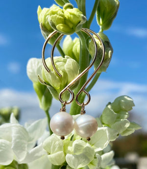 fresh water pearl earrings on gold filled C wires