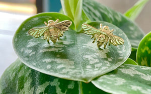 Bee stud earrings🐝