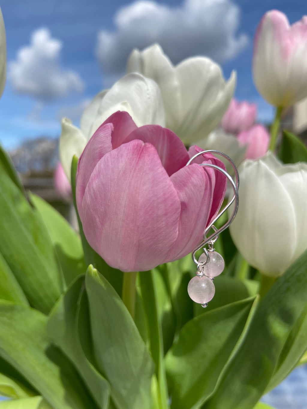 rose quartz earrings on C wires