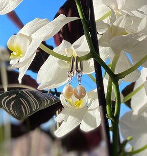 Petite Oval paperclip earrings